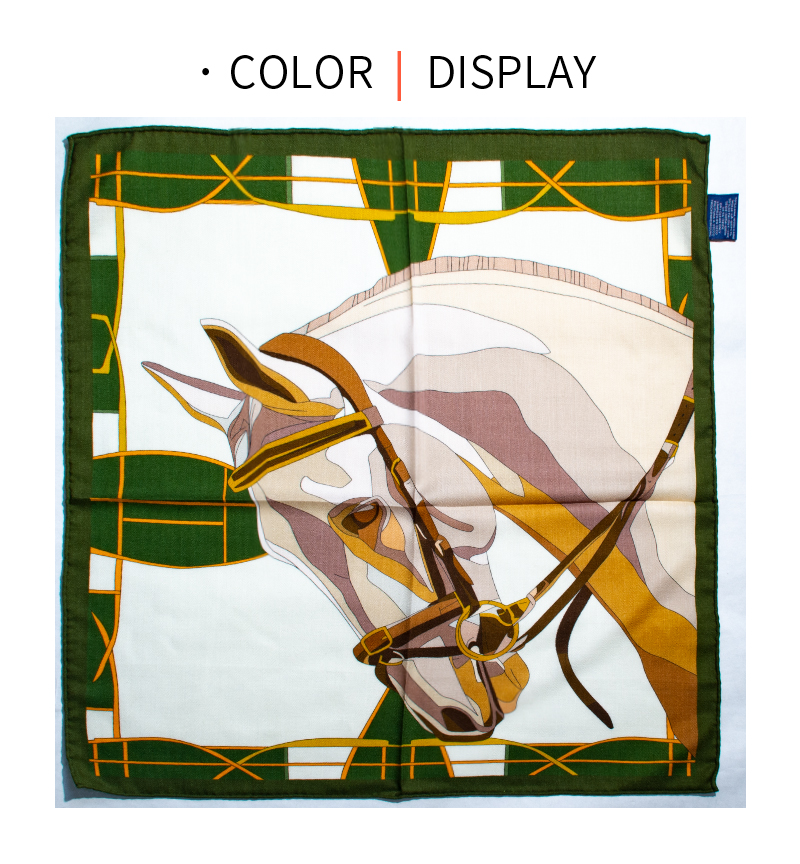 Women Fashion Drawing - Equestrian Horse Print Scarf for Women